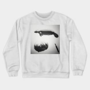 Manatee Crewneck Sweatshirt